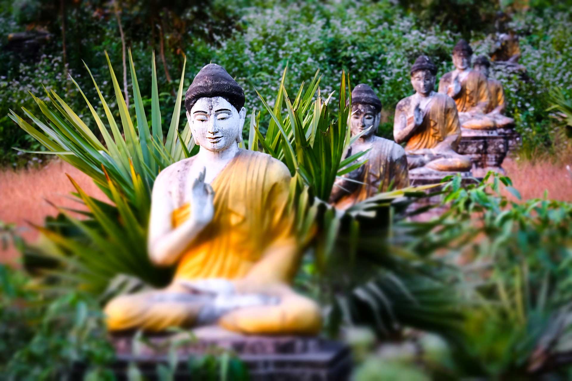 lot-buddhas-statues-in-loumani-buddha-garden-hpa-a-BMTR9H3.jpg
