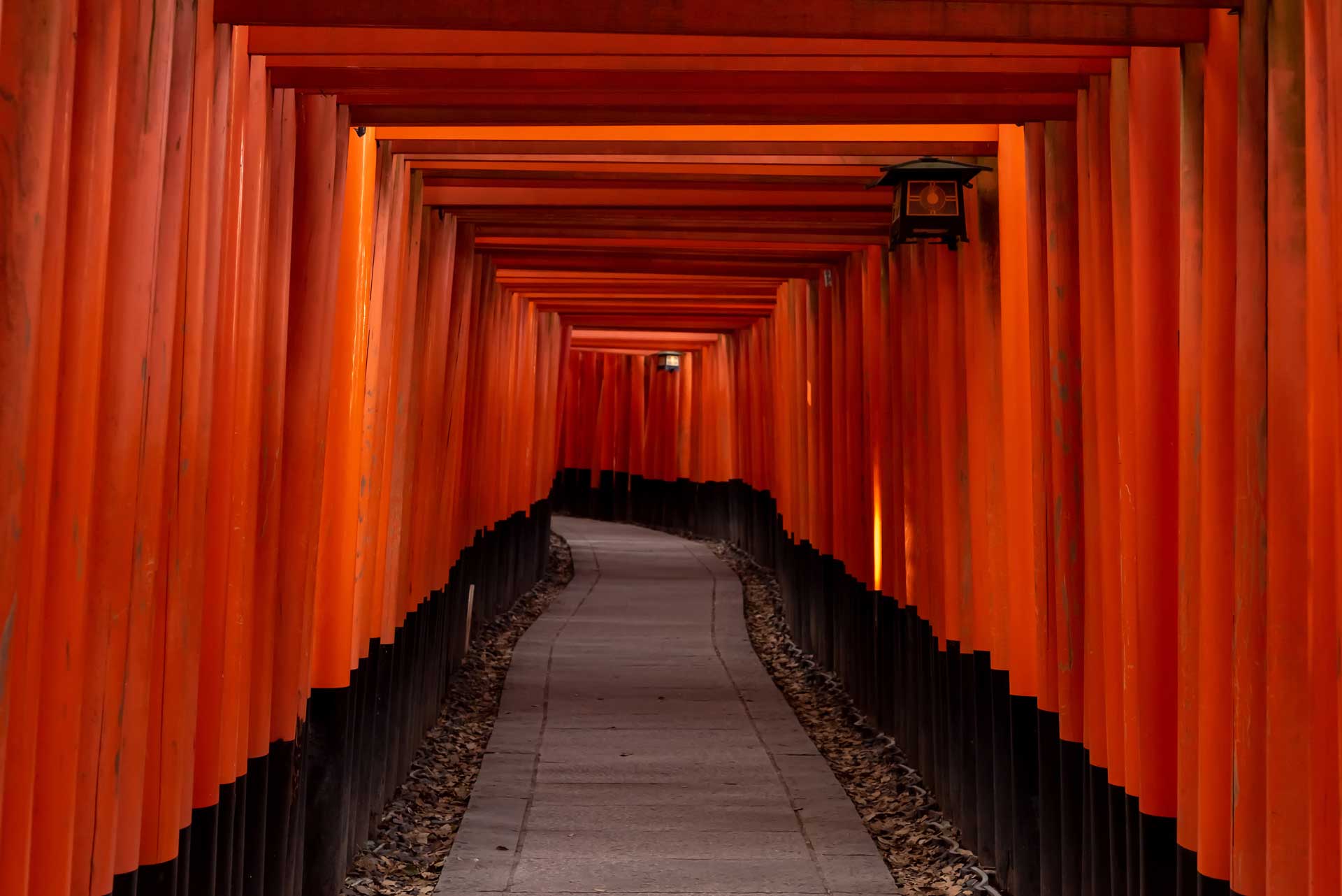 fushimi-inari-shrine-gates-kyoto-YUE7R6Q.jpg